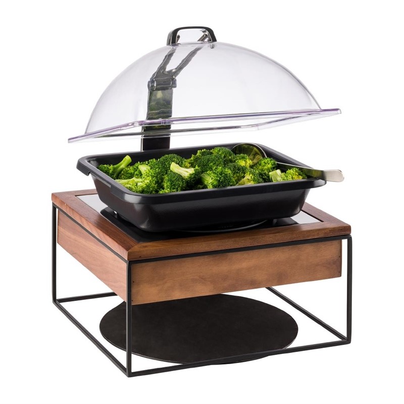 ft162_03 APS Buffet Induktionskochfeld 354x325mm