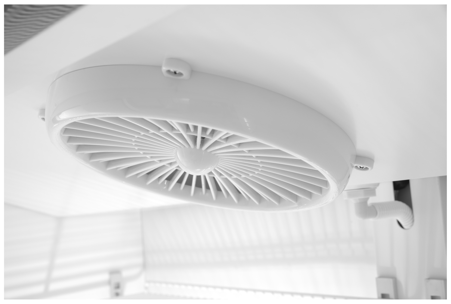 233795_ODW_2019_05_IMG5962