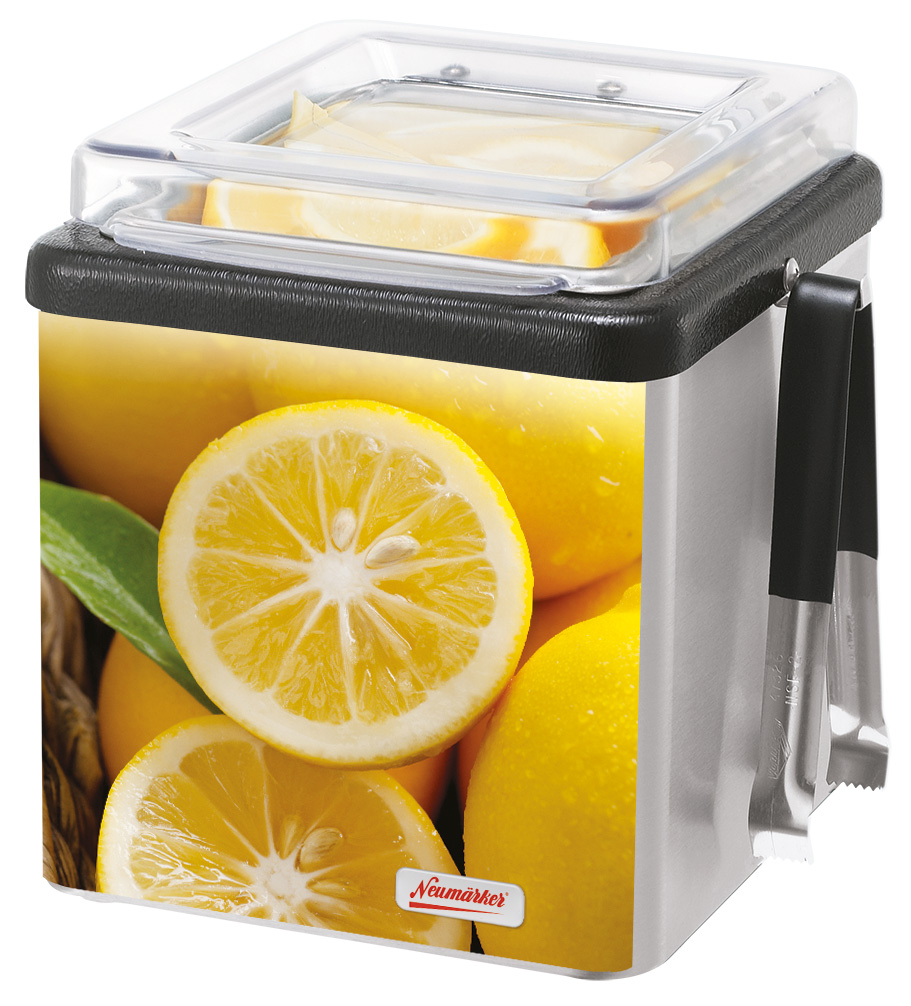 00-90484 Lemon Server