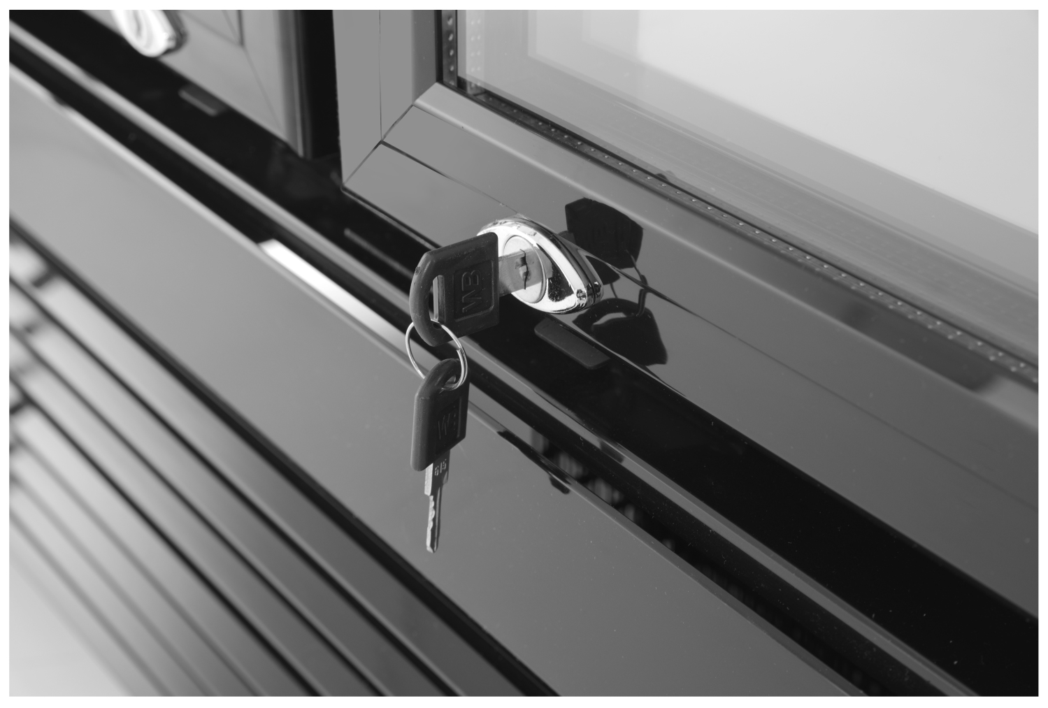 233795_ODW_2019_03_IMG5942